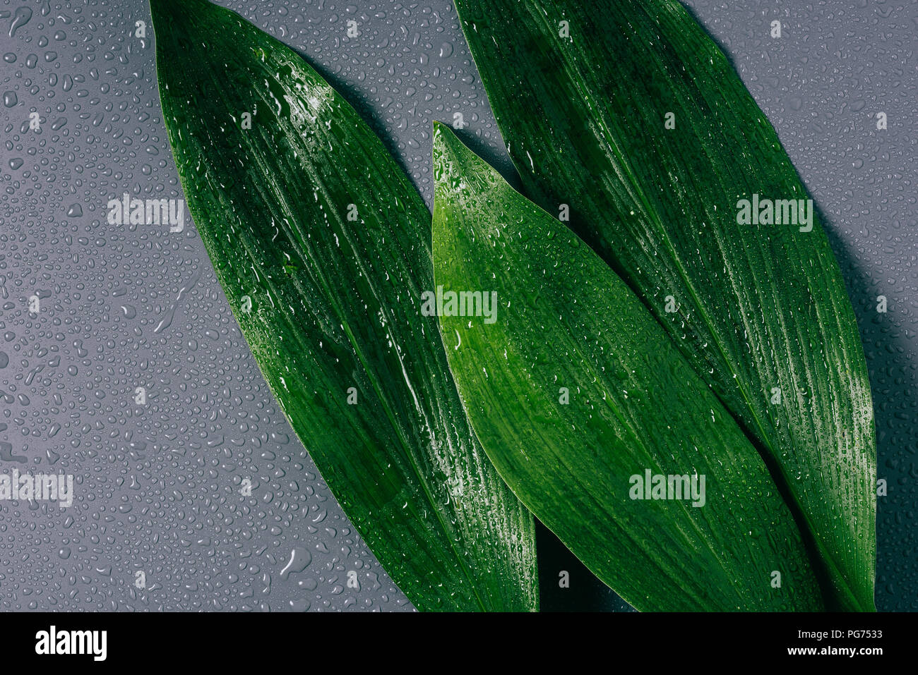 Drops of water on a flat surface hi-res stock photography and images ...