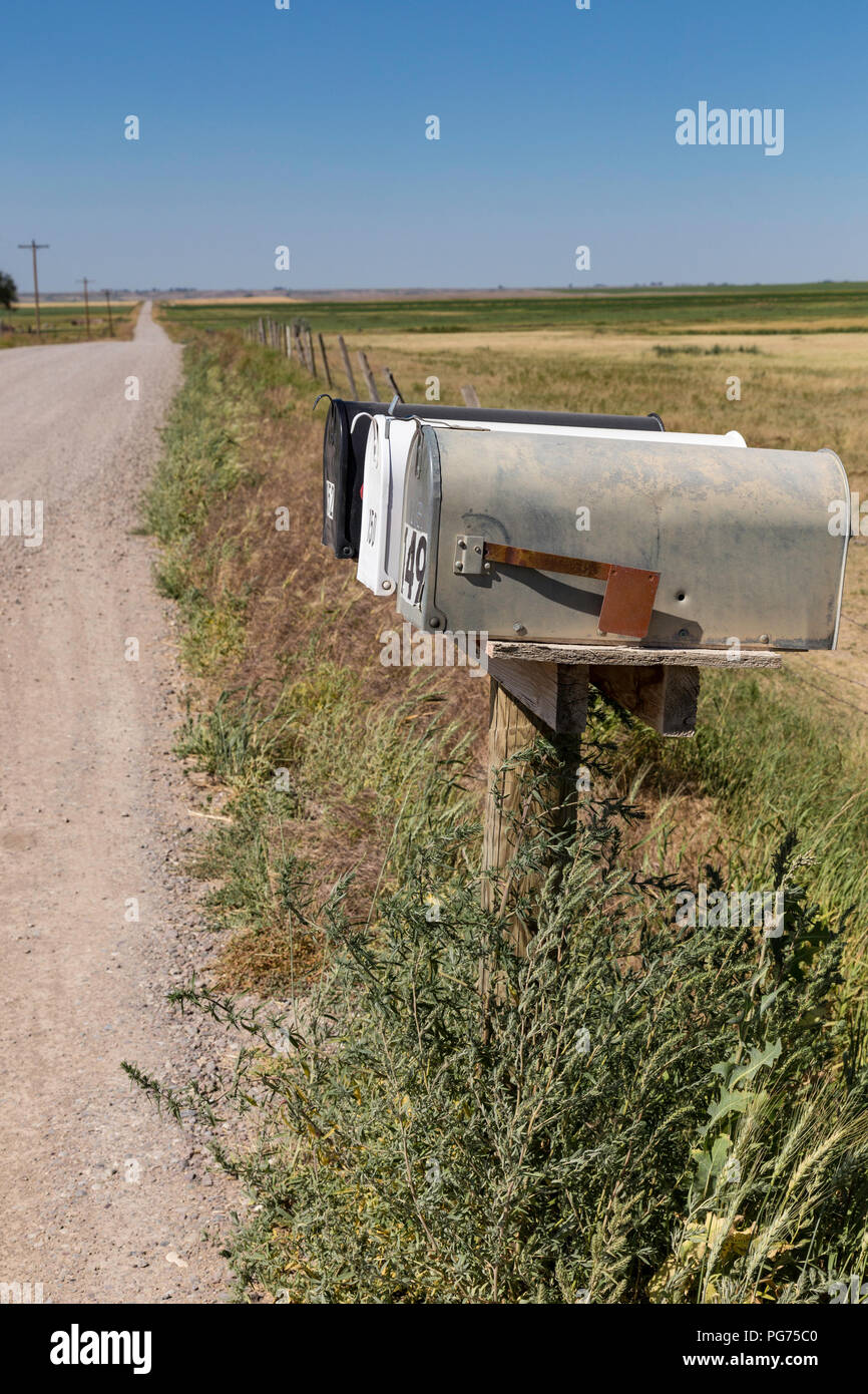 Mailboxes on Rural Unpaved Road in Montana, USA Stock Photo