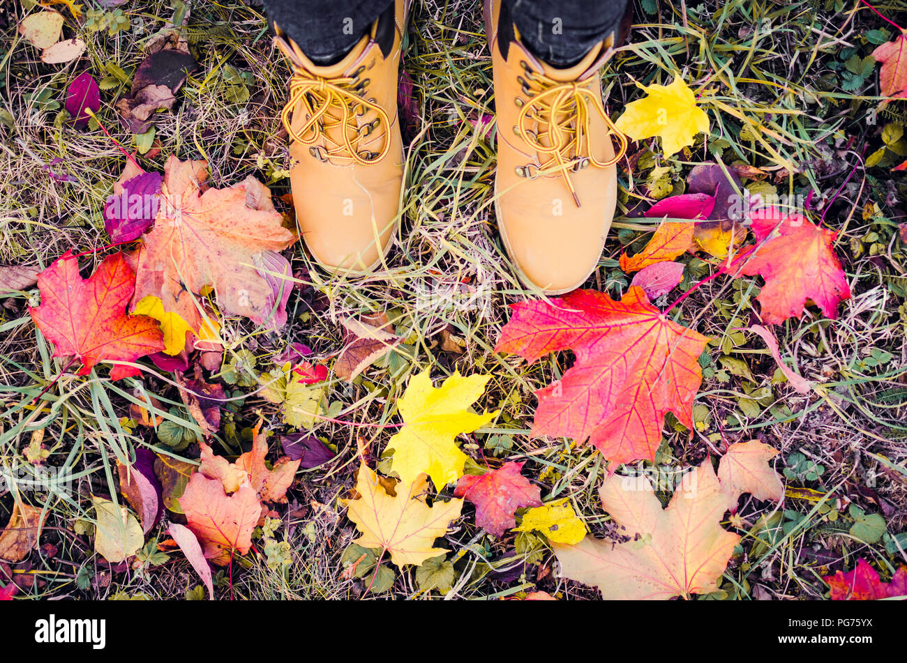 Casual unisex boots with colorful autumn fallen leaves. Autumn fall ...