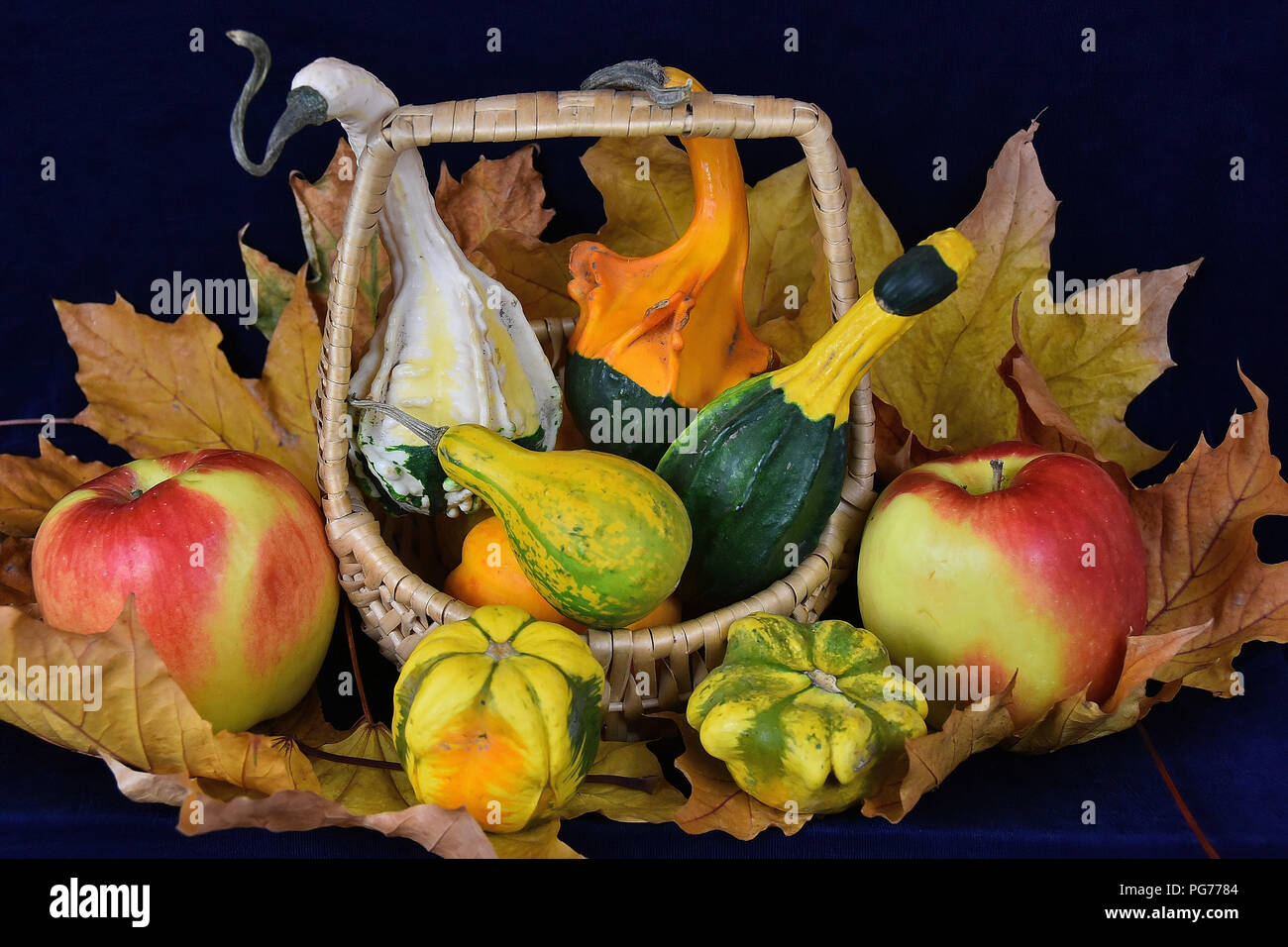 The autumn abundance Stock Photo
