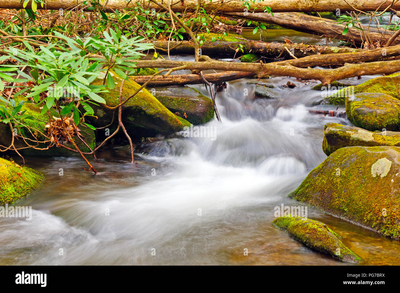 Twenty Mile Creek in the Smoky Mountains Stock Photo - Alamy
