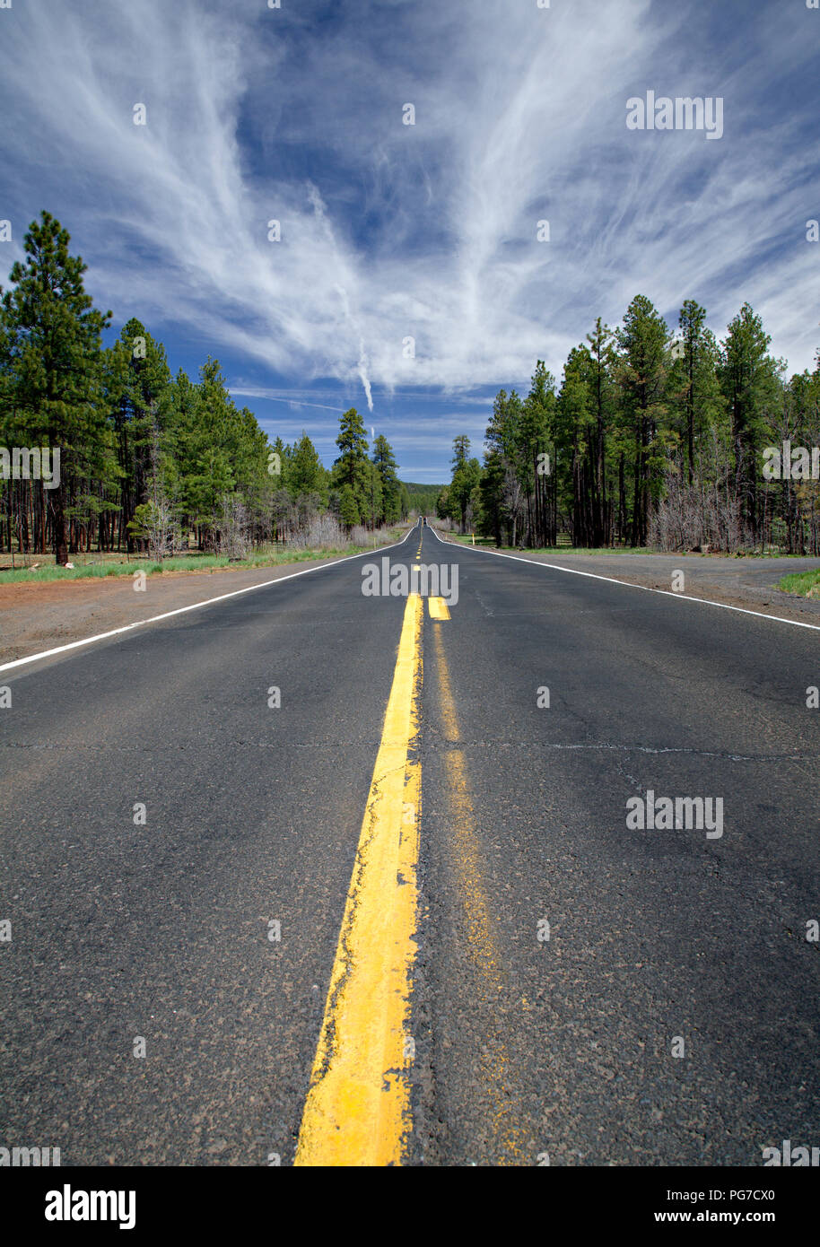 Straight road lined with trees, Flagstaff, Arizona on a summer's day Stock Photo