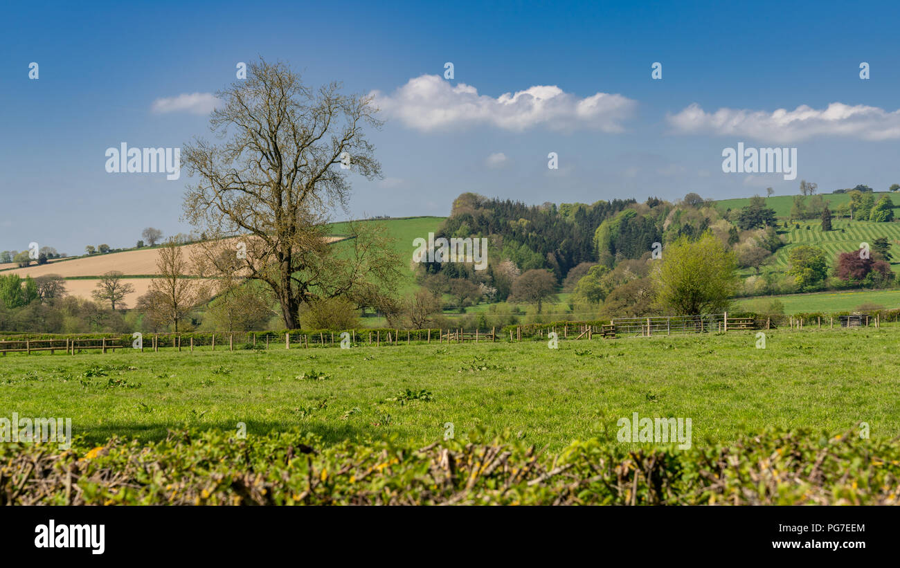 Landscape near Plowden, Shropshire, England, UK Stock Photo