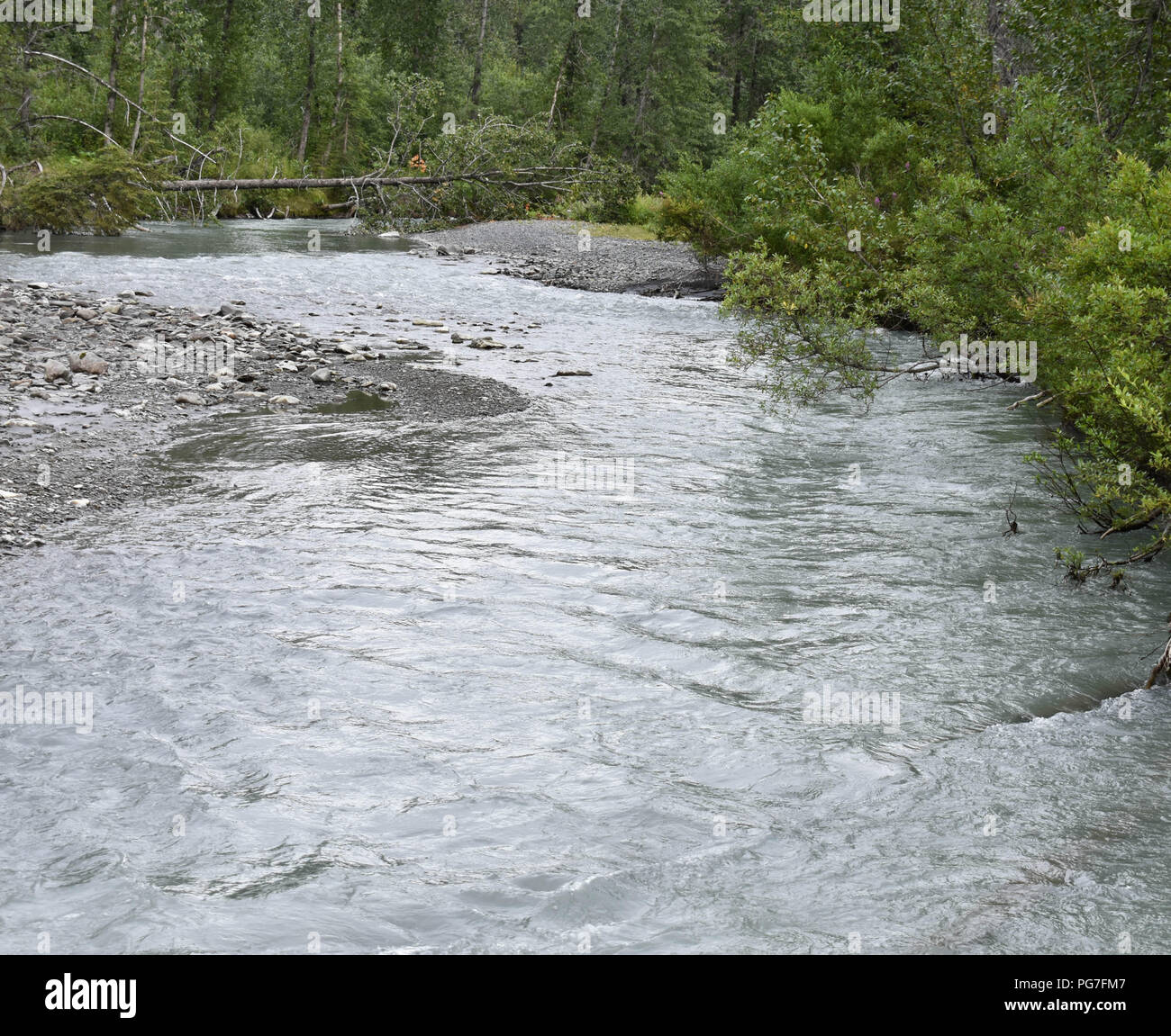 Nice stream flowing through forest hi-res stock photography and images ...