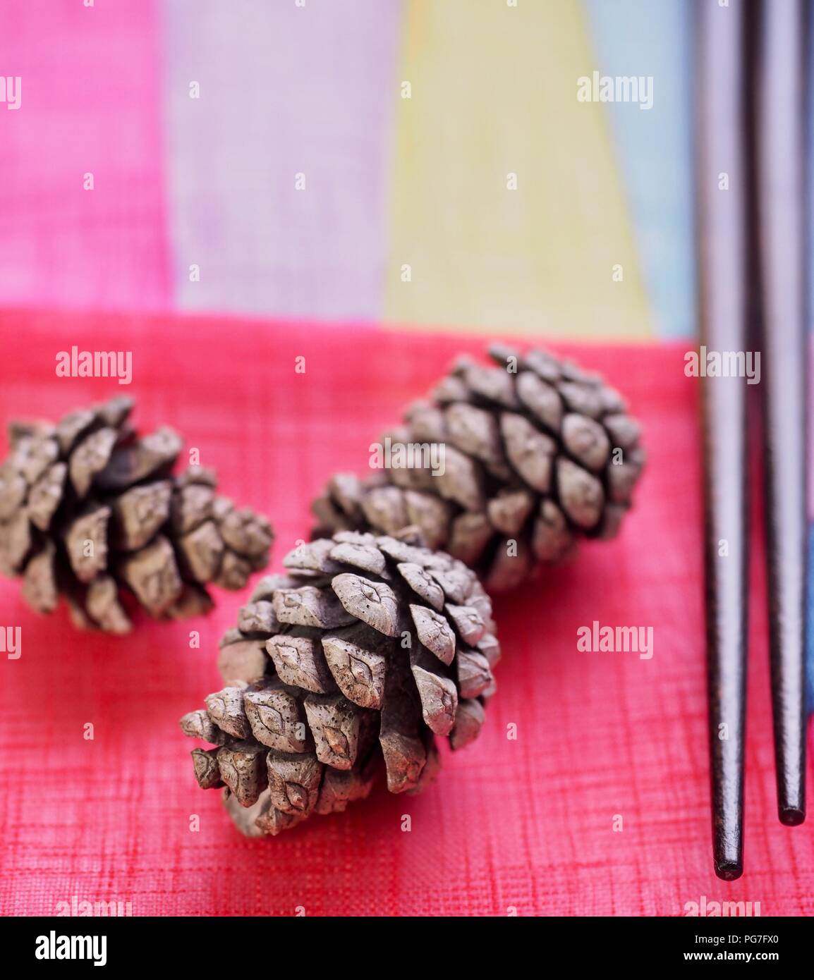 Korea's small pine cones Stock Photo