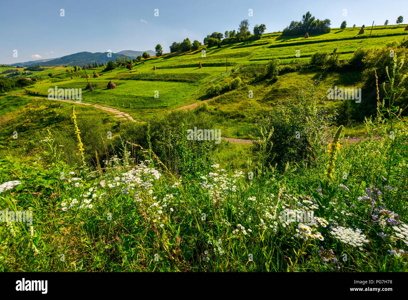 beautiful rural area in mountains. lovely summer scenery in afternoon. path along the agricultural fields with haystacks Stock Photo