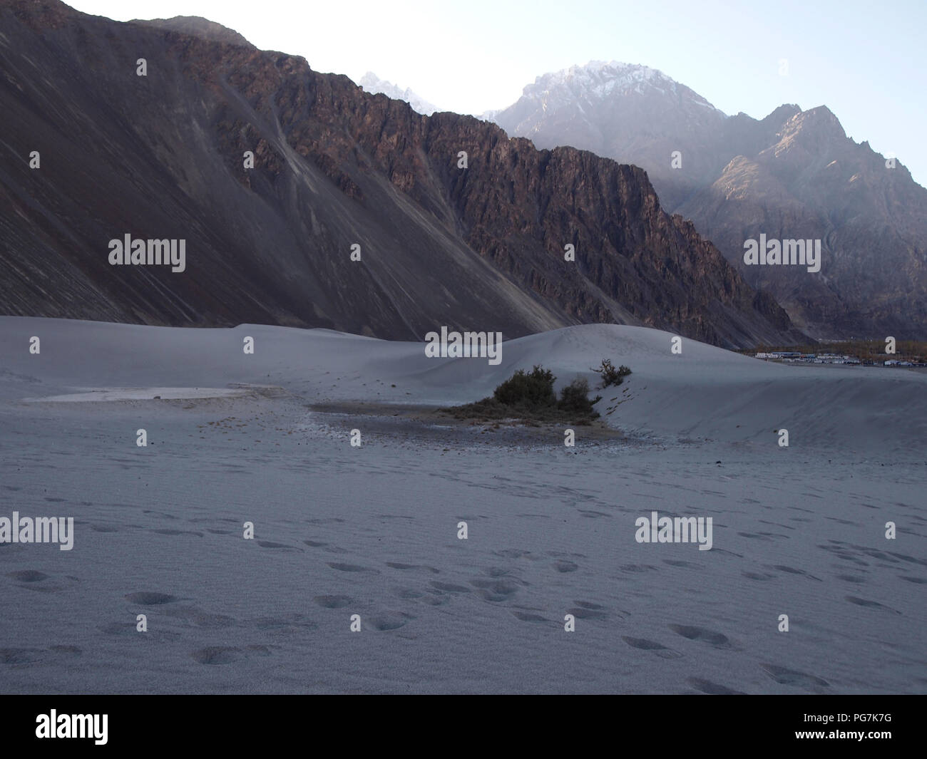 Sand dunes at the floor of Nubra valley, Ladakh, between the Himalayas and the Karakoram ranges Stock Photo