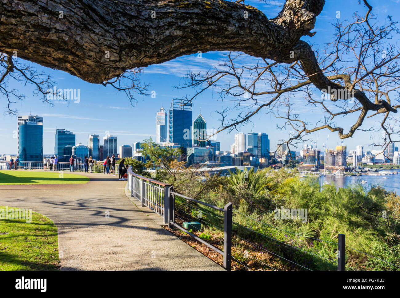 Leafless branches indicating winter in the Southern Hemisphere, Perth, Western Australia Stock Photo