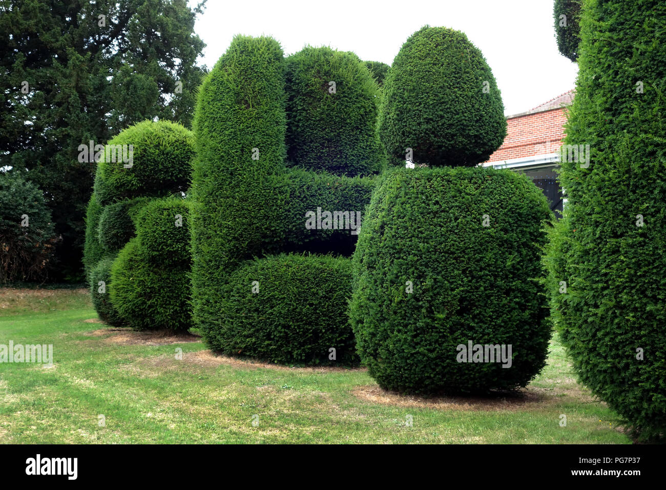 Hedge shrubs shrub perennials hires stock photography and images Alamy
