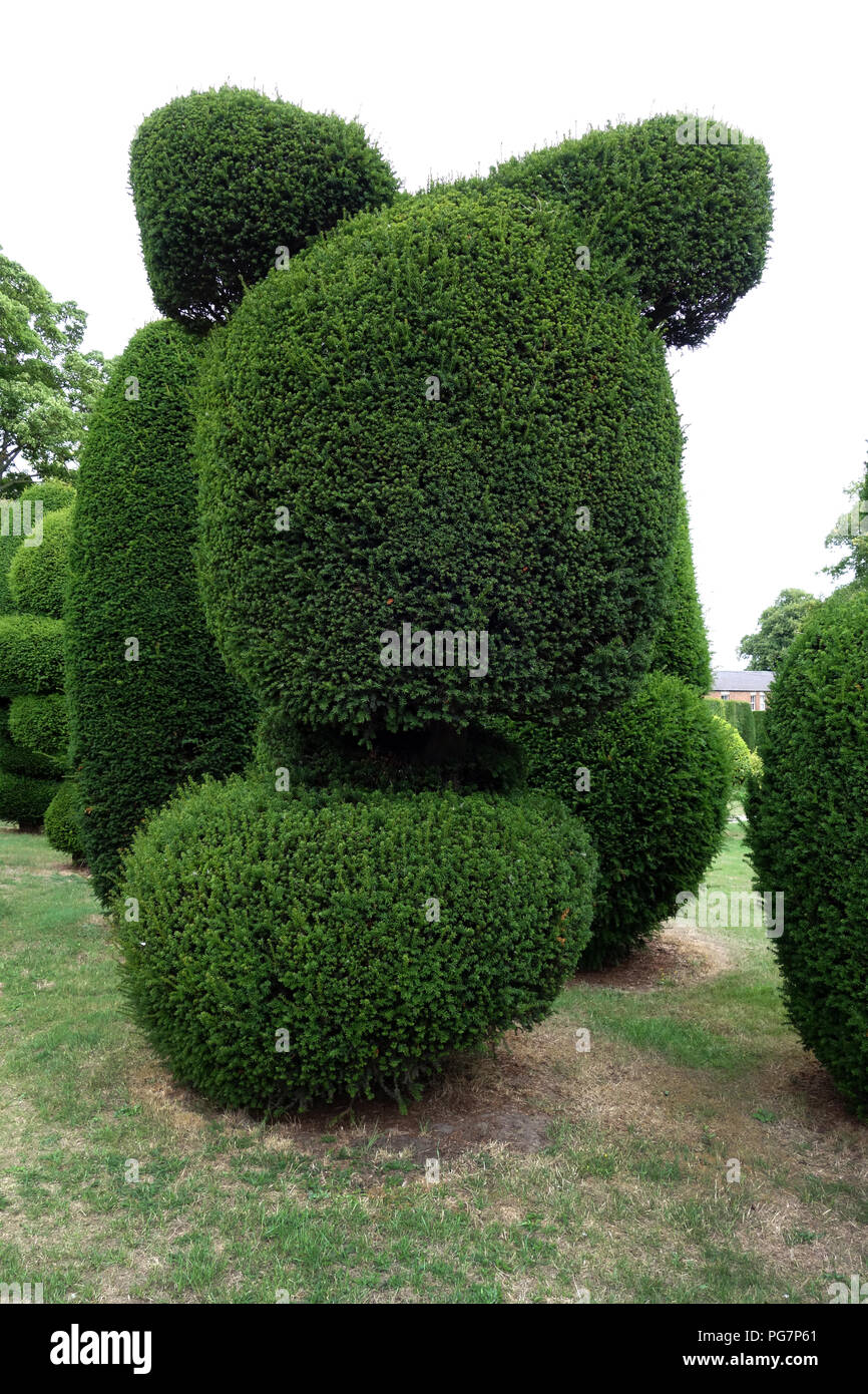 Country house garden Topiary. Perennial plants cut into shapes Stock