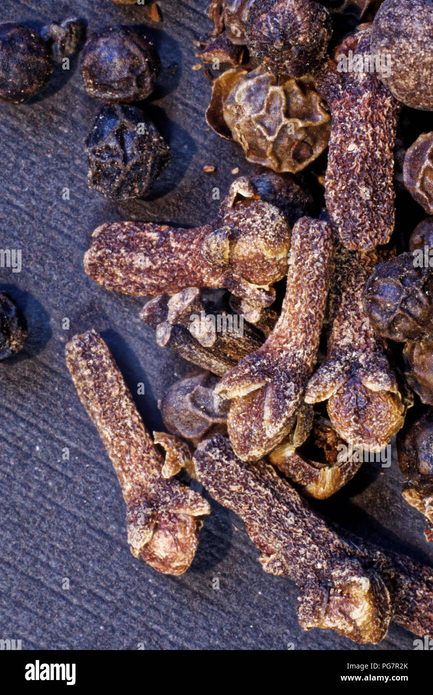 Carnation spice, dried unopened buds, flower buds,pepper Stock Photo