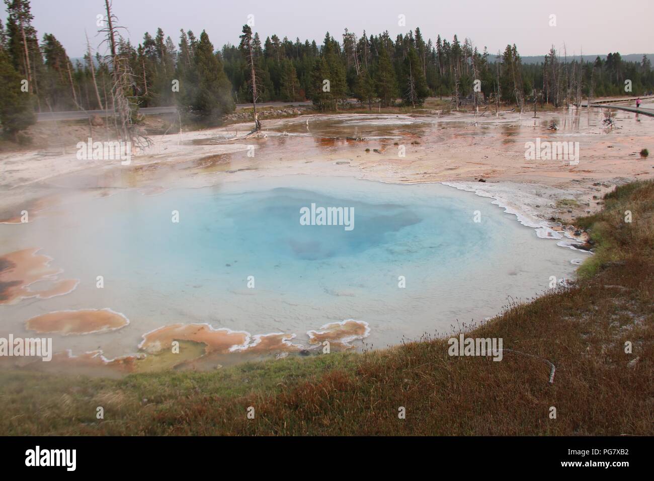 A hot spring at the Lower Geyser Basin in Yellowstone National Park, Wyoming Stock Photo