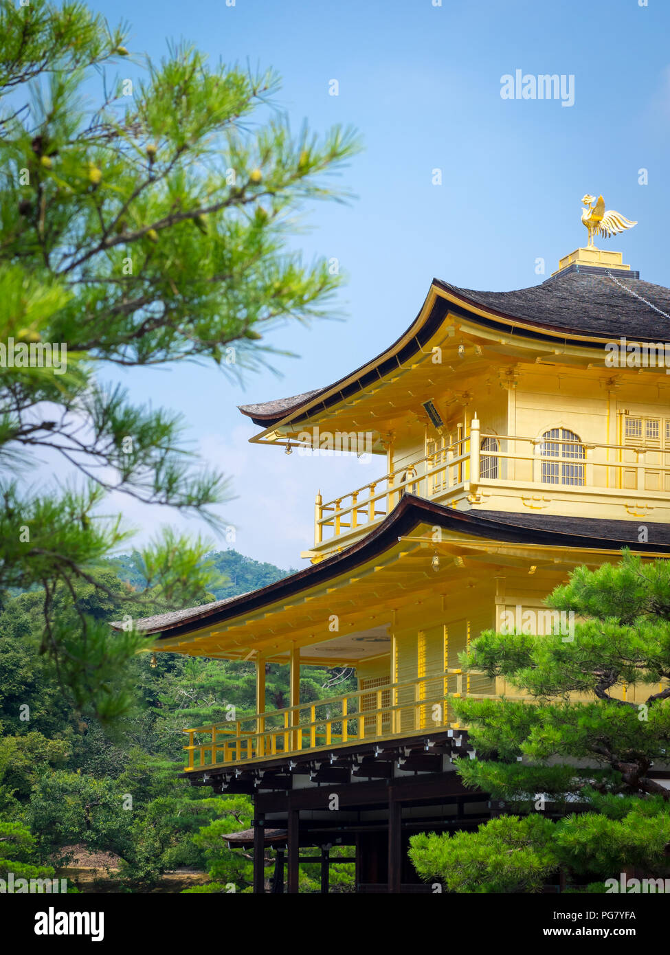 Kinkaku-ji (also known as Kinkakuji or Rokuon-ji), the Temple of the Golden Pavilion, is a spectacular Zen Buddhist temple located in Kyoto, Japan. Stock Photo