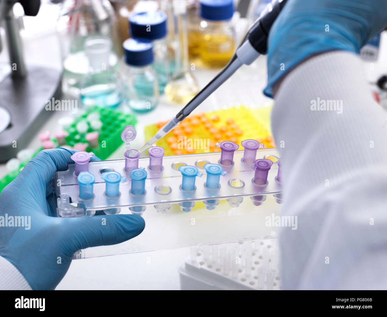 Research experiment, scientist pipetting sample into vials Stock Photo