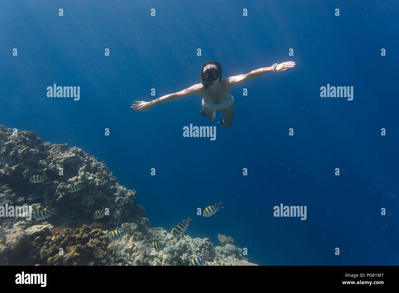 Woman Snorkeling Underwater Bali Indonesia Hi Res Stock Photography And