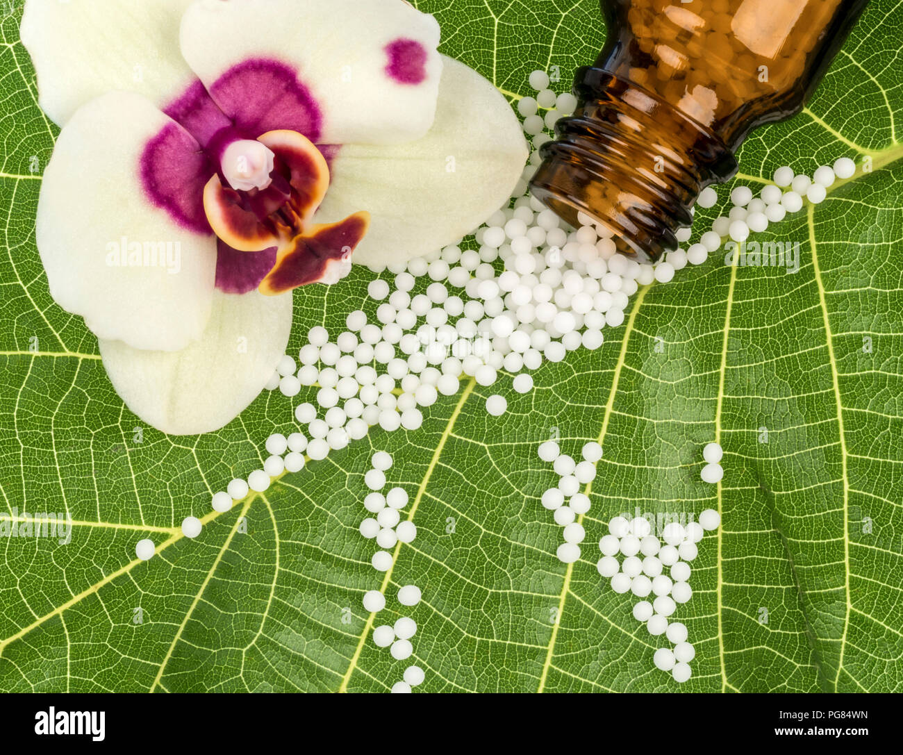 Globuli on green leaf, orchid blossom, apothecary bottle Stock Photo