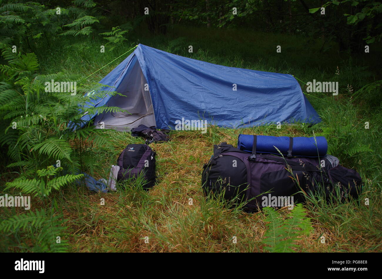 Wild Camping John O Groats Duncansby Head To Lands End End To End Trail Scotland Uk Stock Photo Alamy