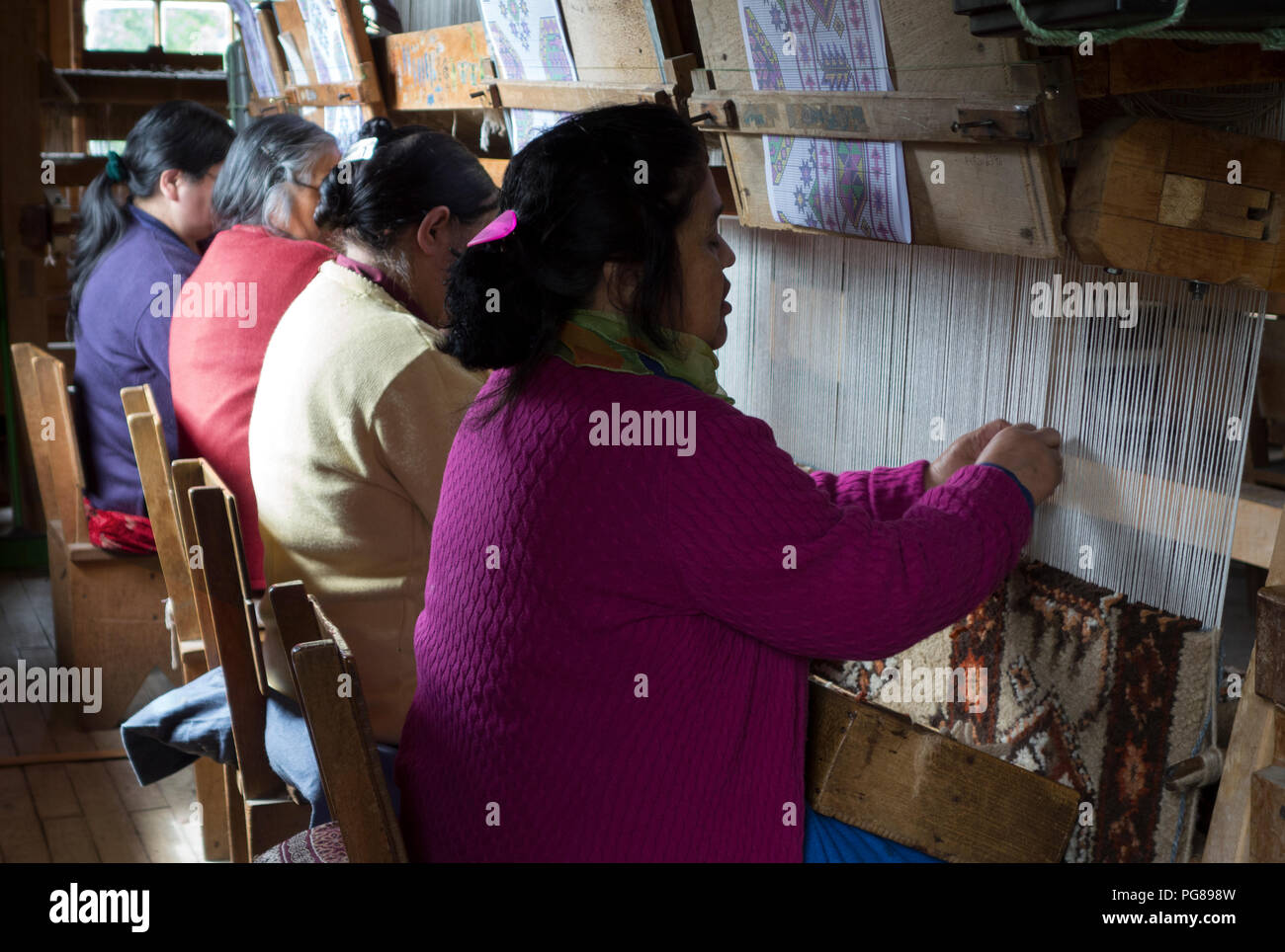 Women hand looming.Carpet factory.Puyuhuapi.Aysén region.Chile Stock Photo
