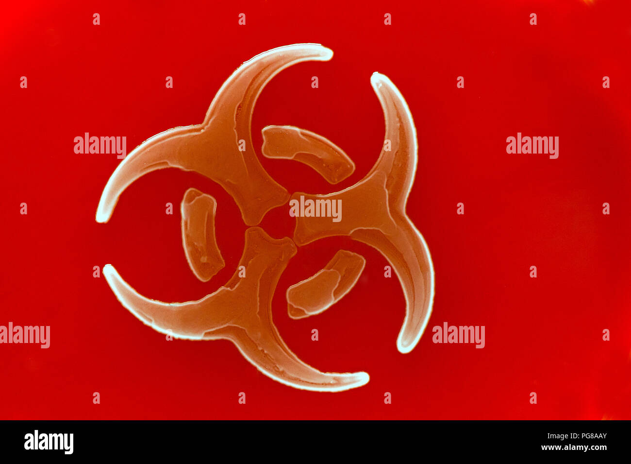 glowing biohazard symbol consisting of bacterial culture against red background Stock Photo