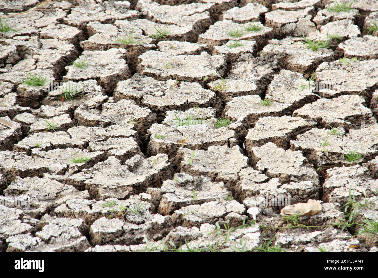 Dry and cracked soil drying out in a severe drought Stock Photo