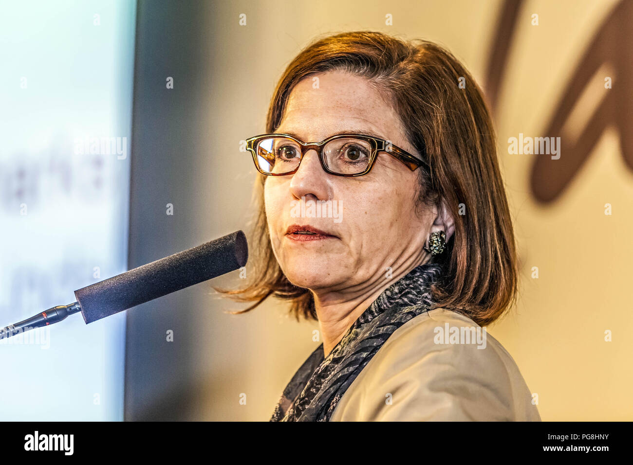 Lane bryant hires stock photography and images Alamy