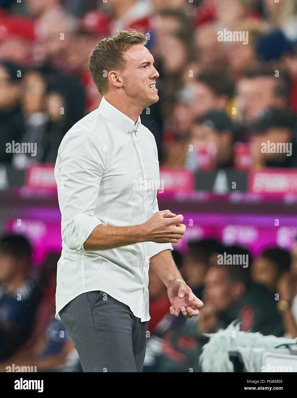 Munich Germany 24th Aug 2018 Fc Bayern Munich Soccer Munich August 24 2018 Julian Nagelsmann Chef Trainer Tsg Hoffenheim Gesticulate Give Instructions Action Single Image Gesture Gesture Hand Movement Pointing Interpret Mimik Angry