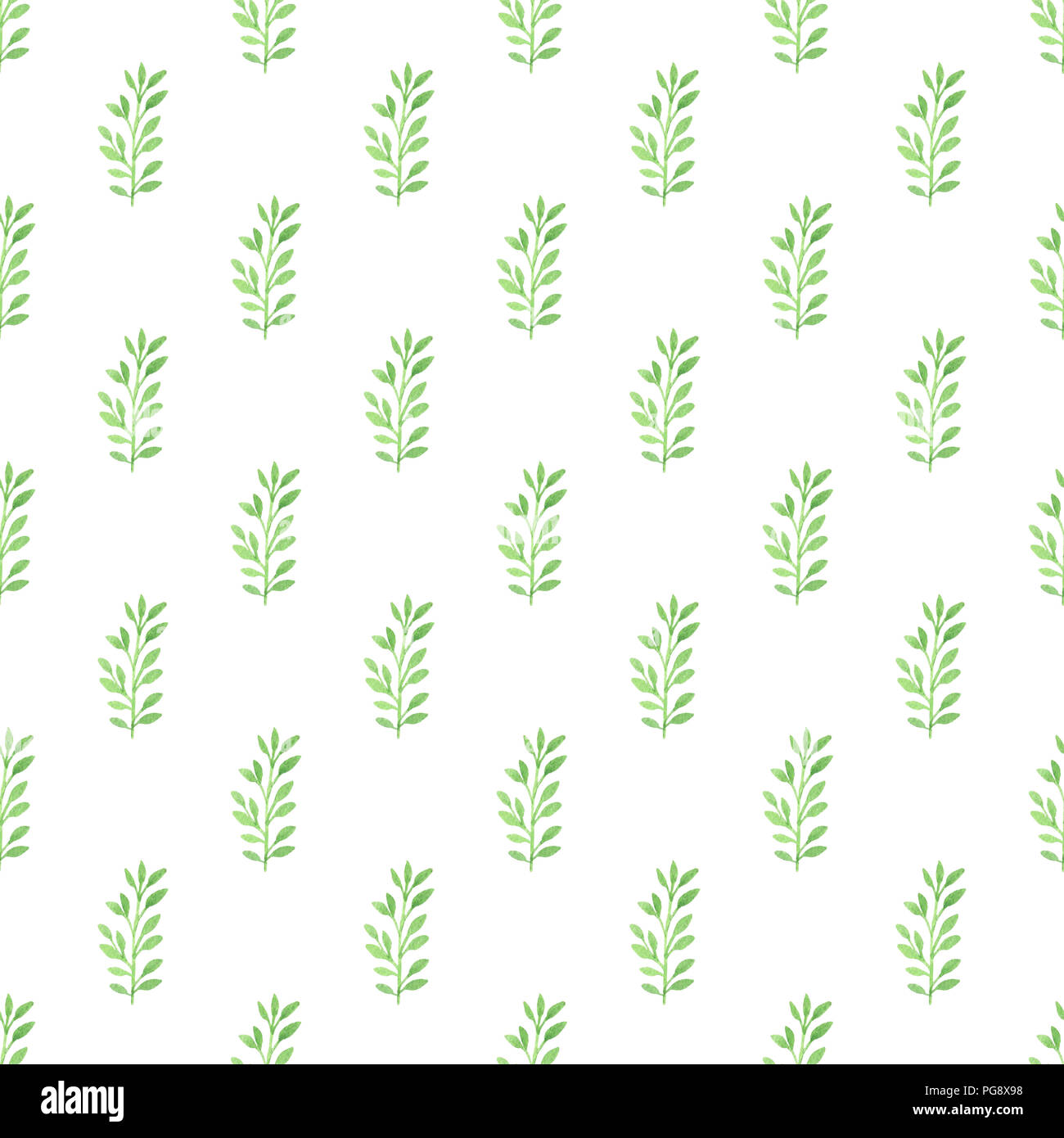 Watercolor floral seamless pattern with green leaves on a white ...
