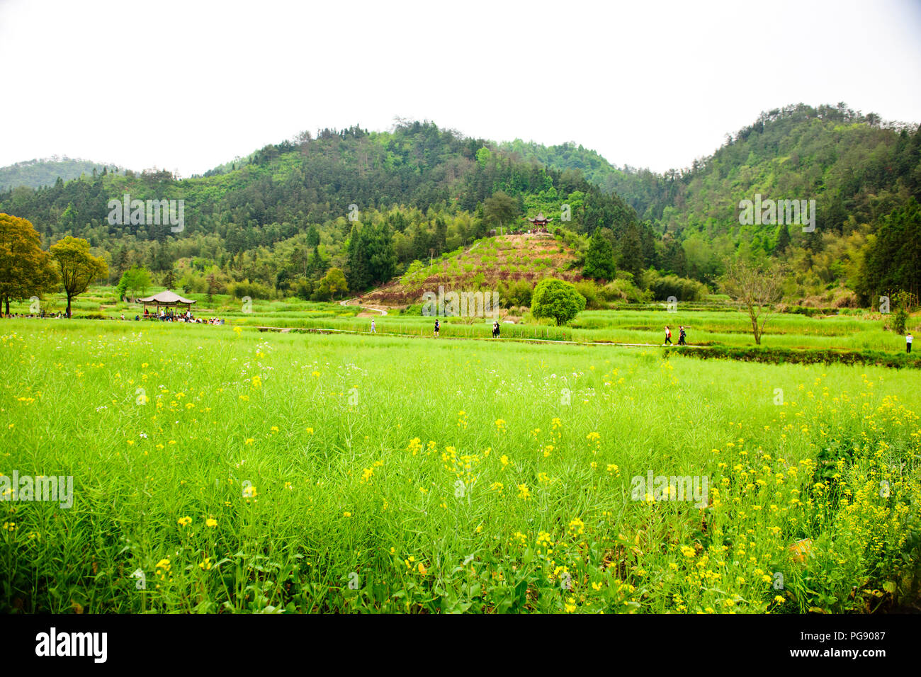 Song dynasty agriculture hires stock photography and images Alamy