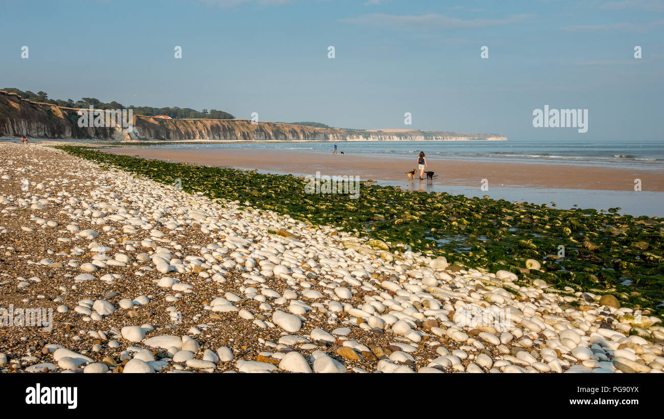 Two woman walking on a beach hi-res stock photography and images - Alamy