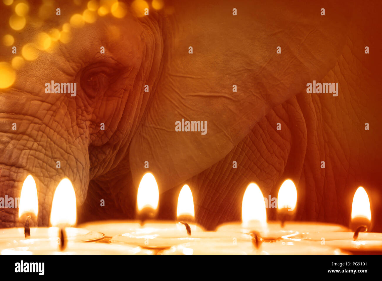 festival of lights background with elephant Stock Photo