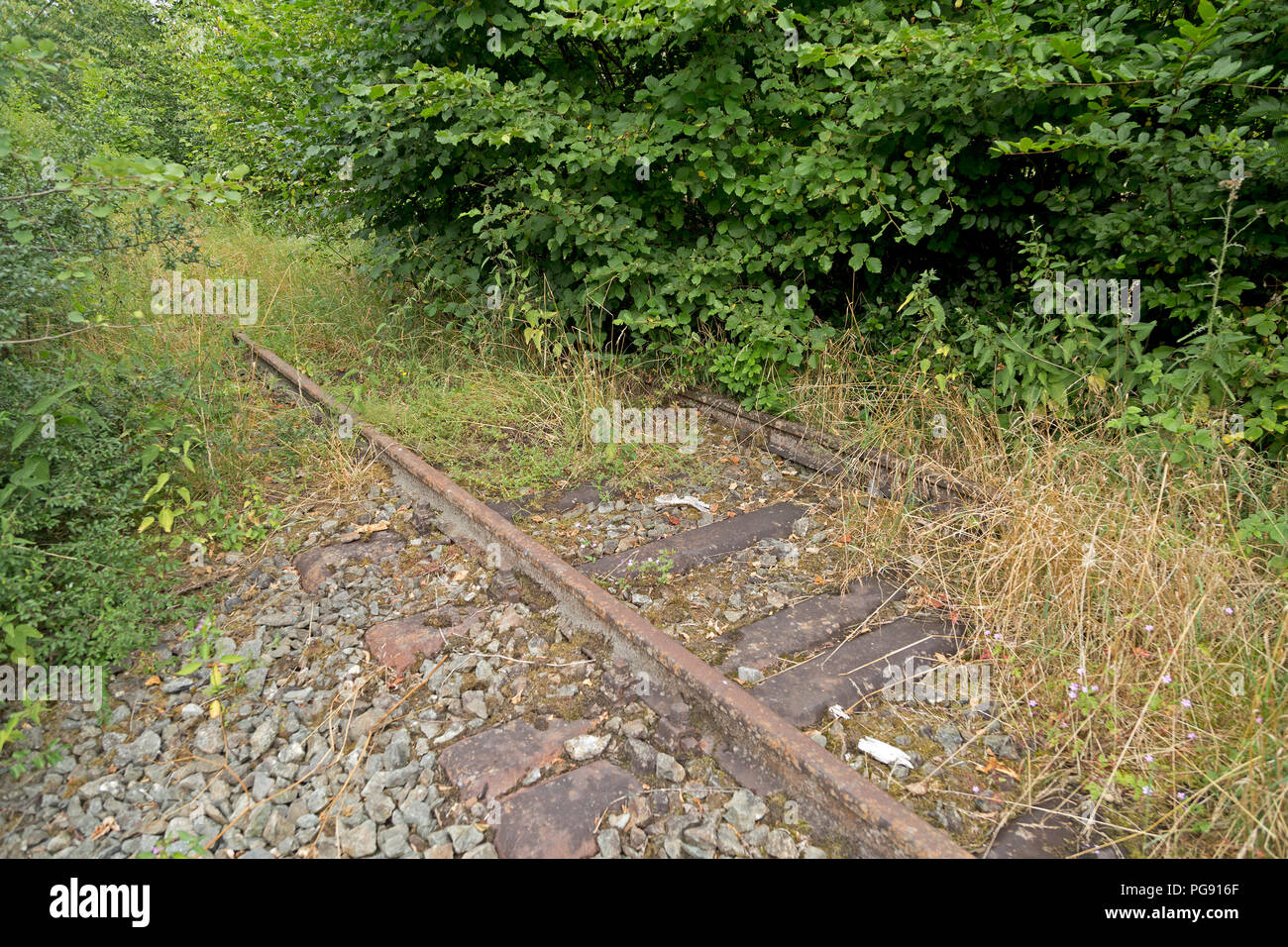 remains of railroad tracks near Wenholthausen, North Rhine-Westphalia, Germany Stock Photo