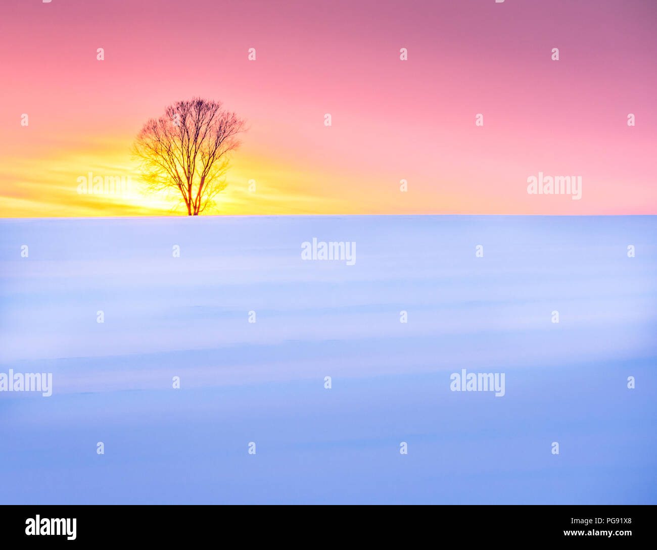 Field sunrise snow hi-res stock photography and images - Alamy