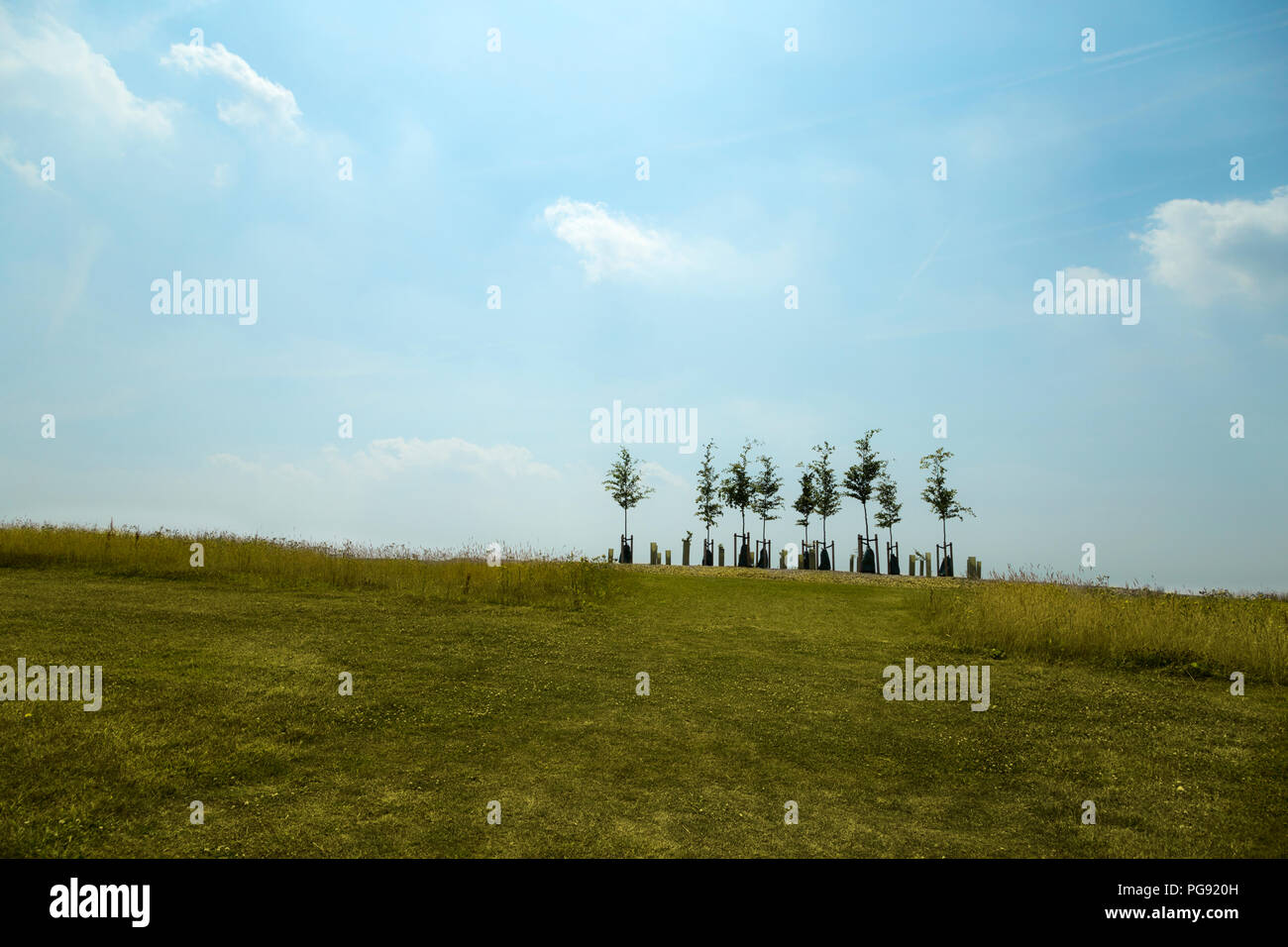Small tiny trees silhouette at the top on horizon of wide lush green meadow Stock Photo