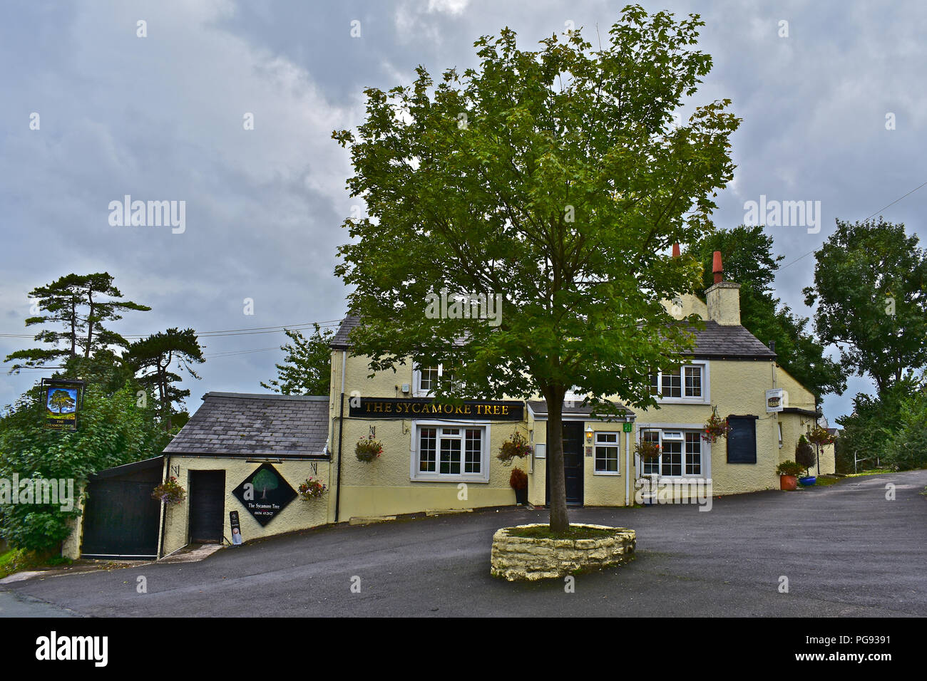 The Sycamore Tree is the local public house in the pretty little