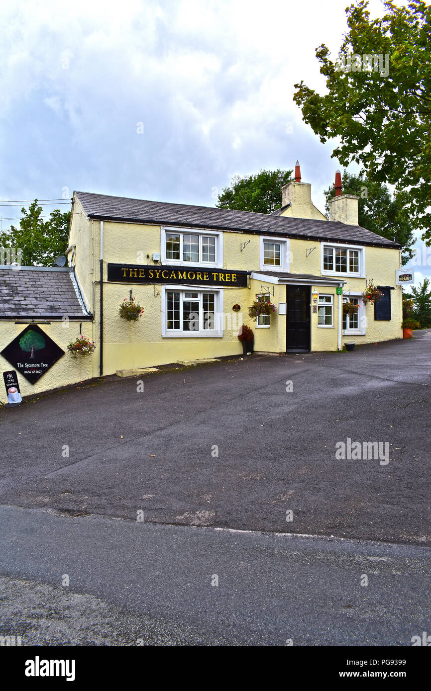 Sycamore tree inn hires stock photography and images Alamy