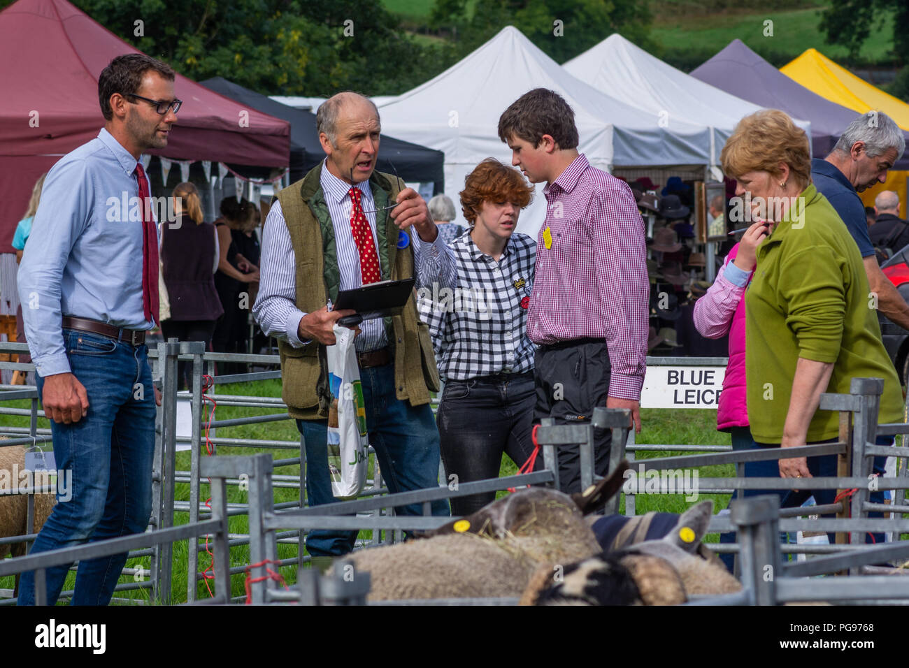Judging the Blue Leicester Class at The Hawkshead Show in Cumbria 2018 Stock Photo