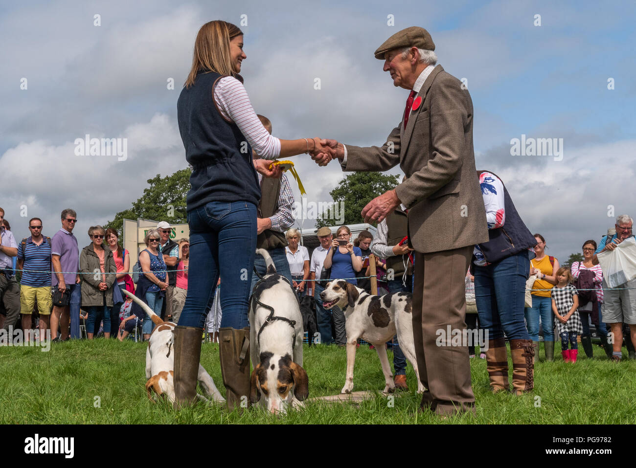 Competitor receiving her rosette for the foxhound class at The Hawkshead Show in Cumbria Stock Photo