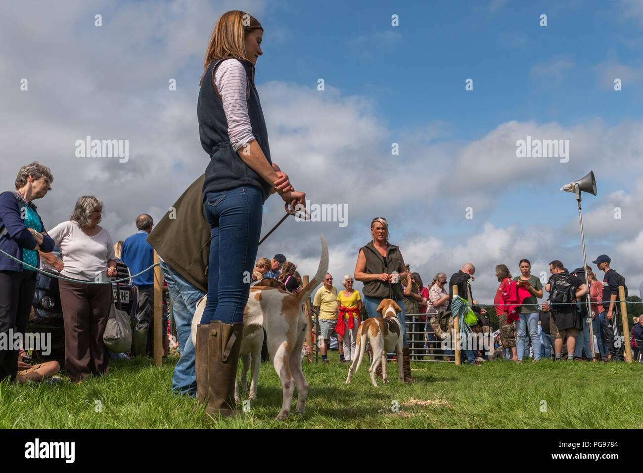 Competitors having their dogs judged at The Hawkshead Show in Cumbria Stock Photo