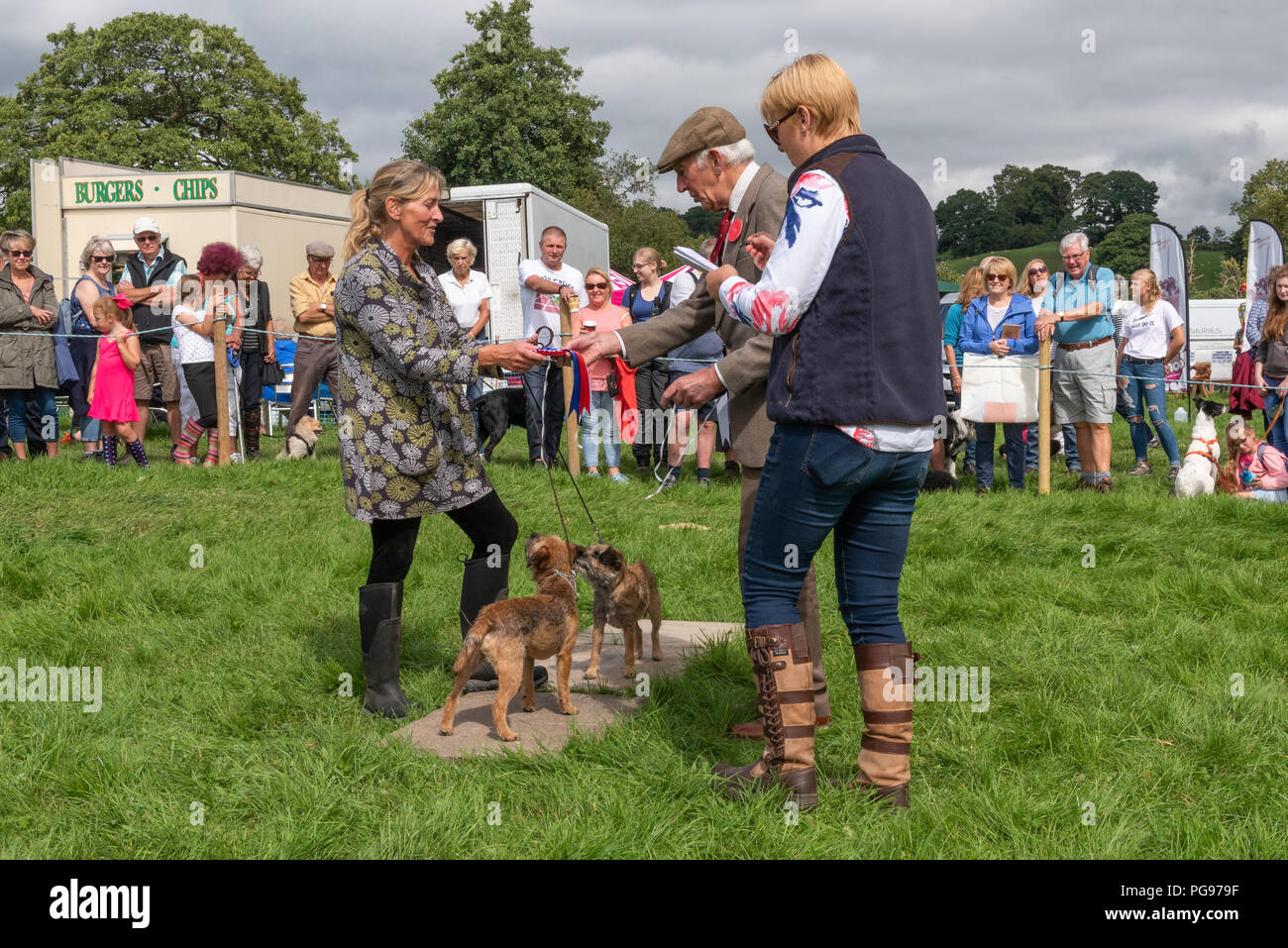 Judging in the Working Terrier Class at The Hawkshead Show in Cumbria Stock Photo