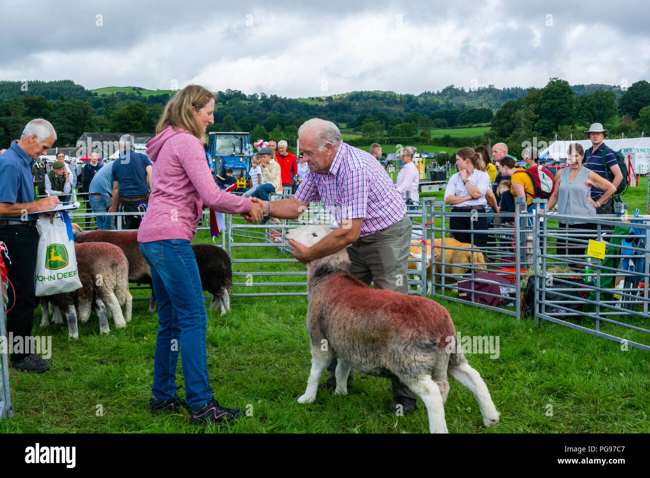 Presenting first Prize in the Herdwick Class at The Hawkshead Show in Cumbria Stock Photo