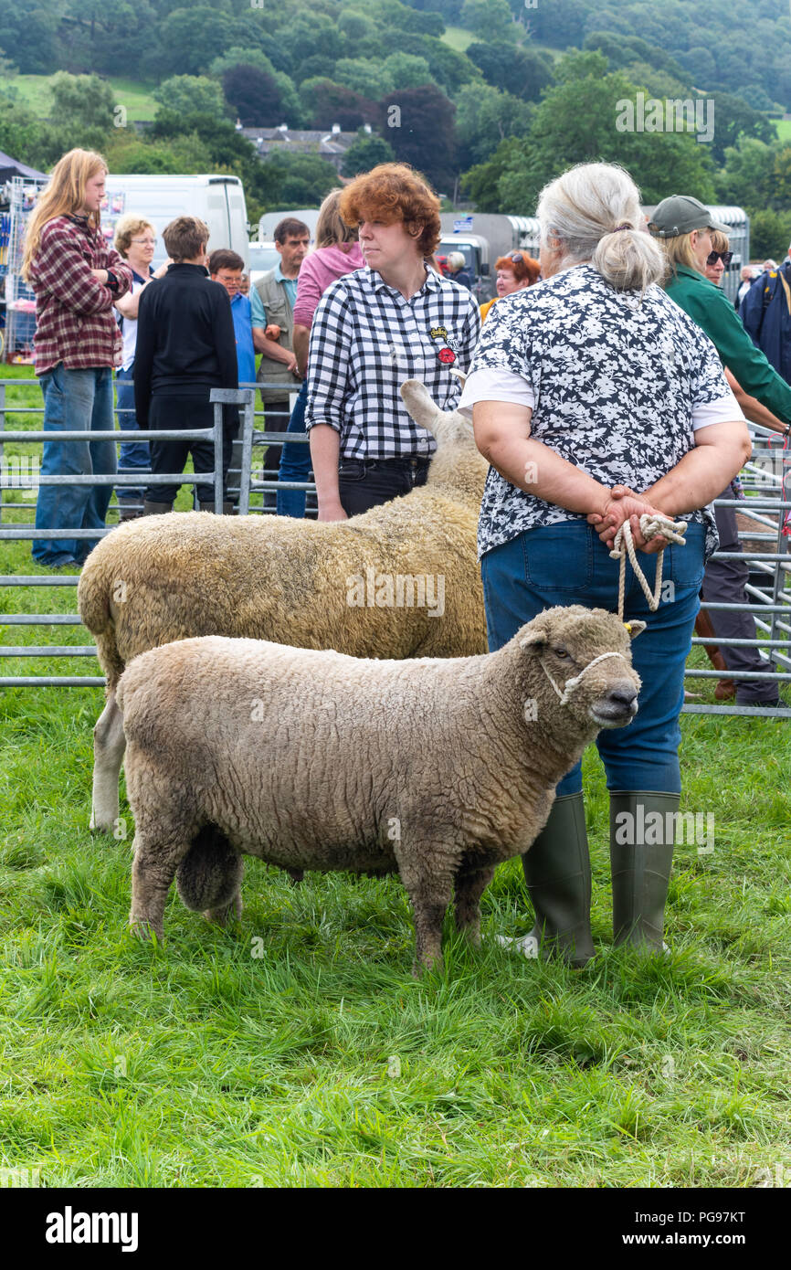Waiting for the judge at Hawkshead show Stock Photo