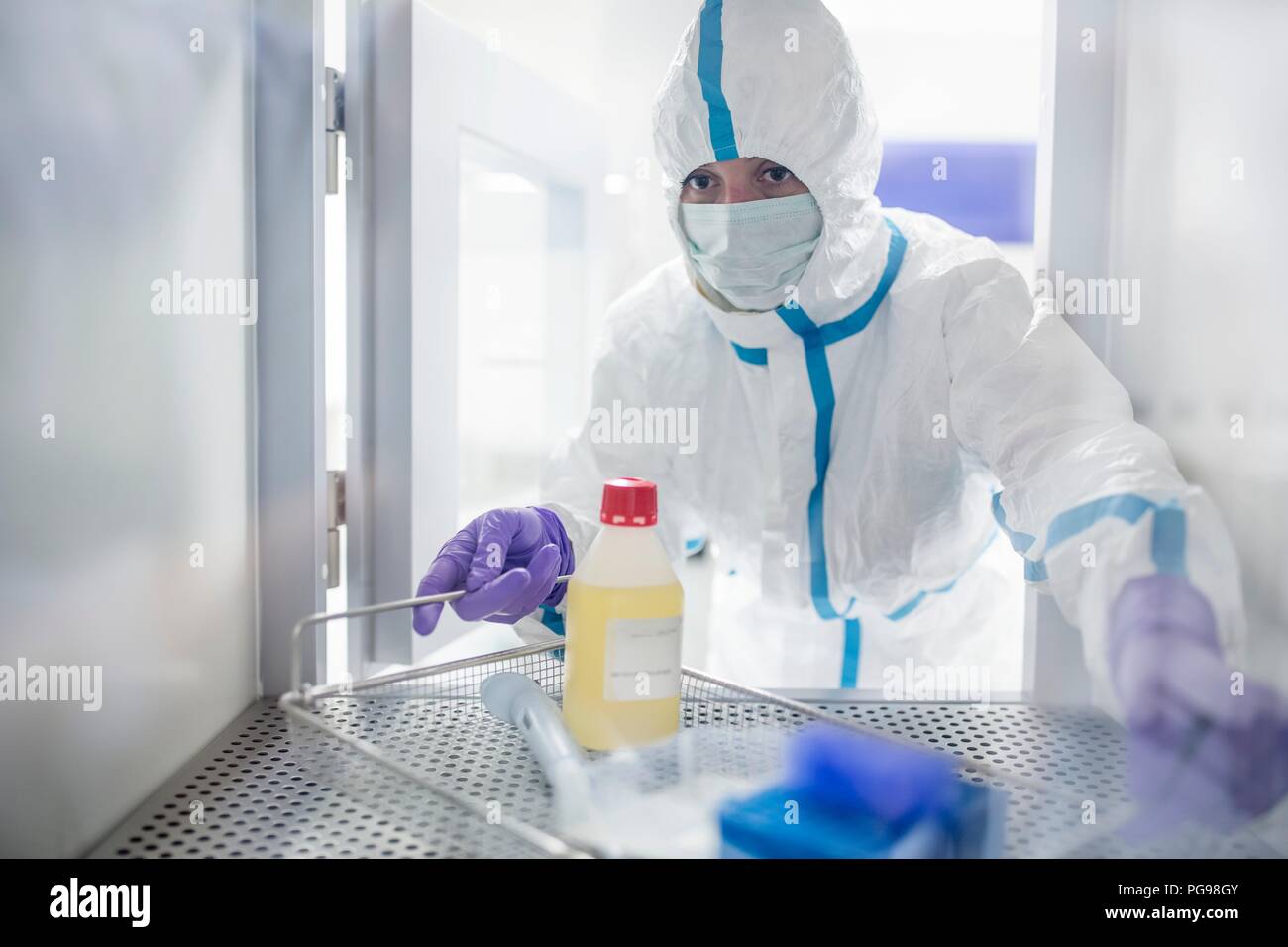 Technician collecting equipment from a transfer hatch in a sterile laboratory that manufactures human tissues for implants. Such implants include bone and skin grafts. Stock Photo