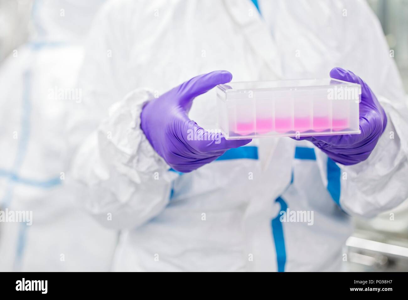 Close-up of a lab technician carrying a cell-based testing kit in a laboratory that engineers human tissues for implant. Such implants include bone and skin grafts. Stock Photo