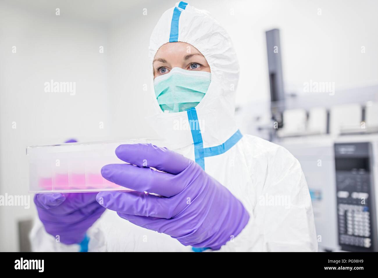 Lab technician carrying a cell-based testing kit in a laboratory that engineers human tissues for implant. Such implants include bone and skin grafts. Stock Photo