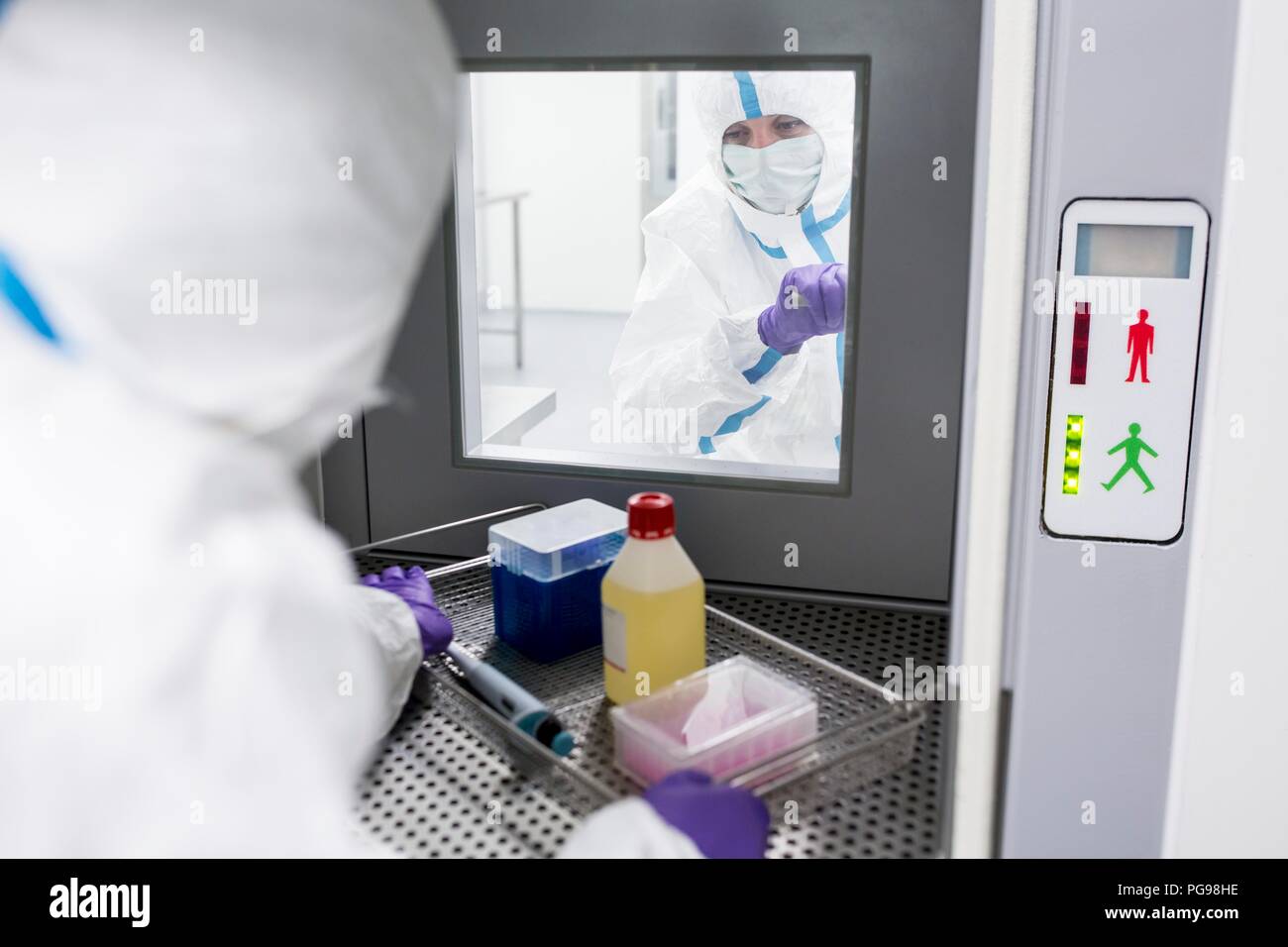 Technician collecting equipment from a transfer hatch in a sterile laboratory that manufactures human tissues for implants. Such implants include bone and skin grafts. Stock Photo