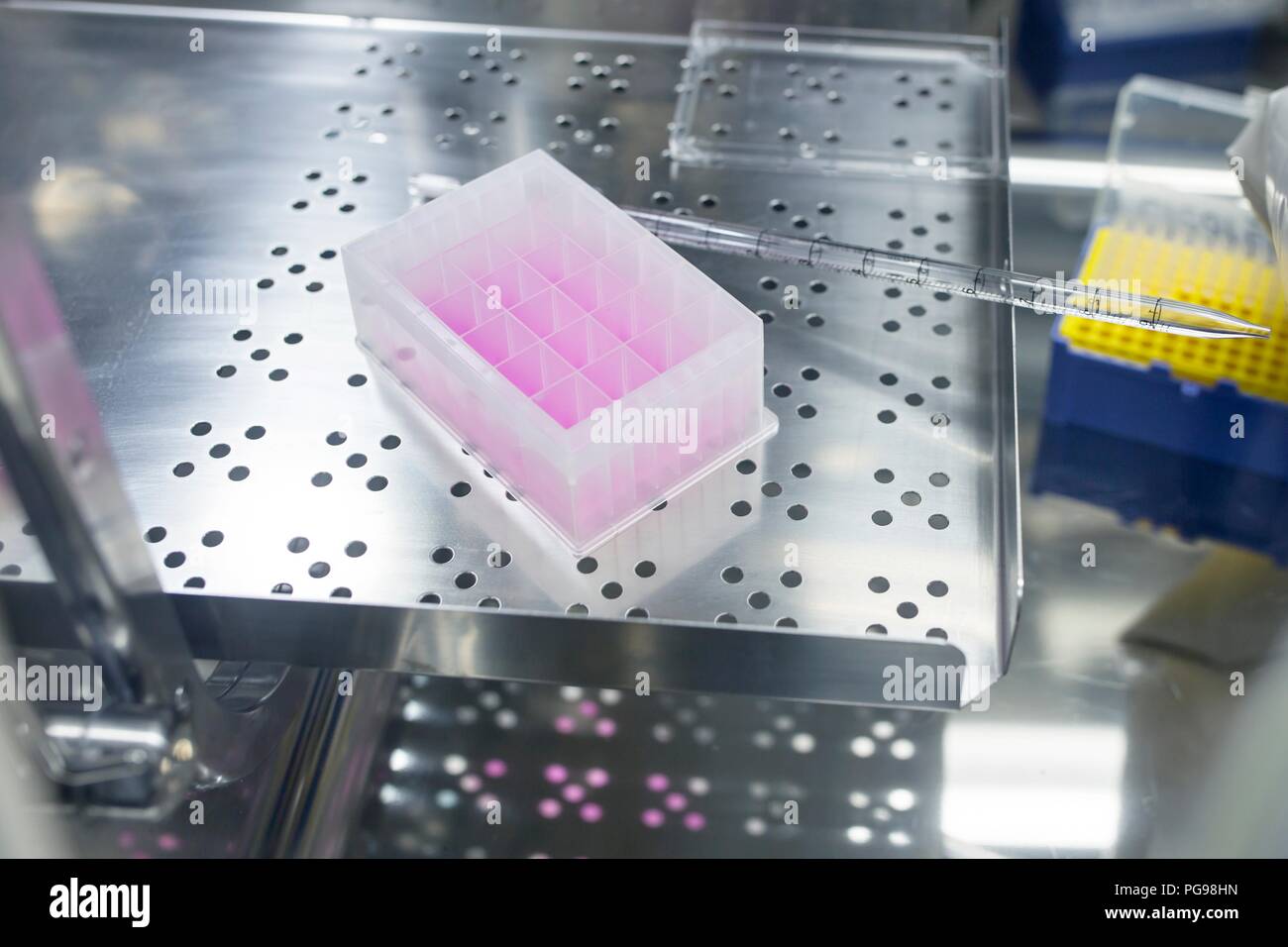 Cell-based testing kit in a laboratory that engineers human tissues for implant. Such implants include bone and skin grafts. Stock Photo