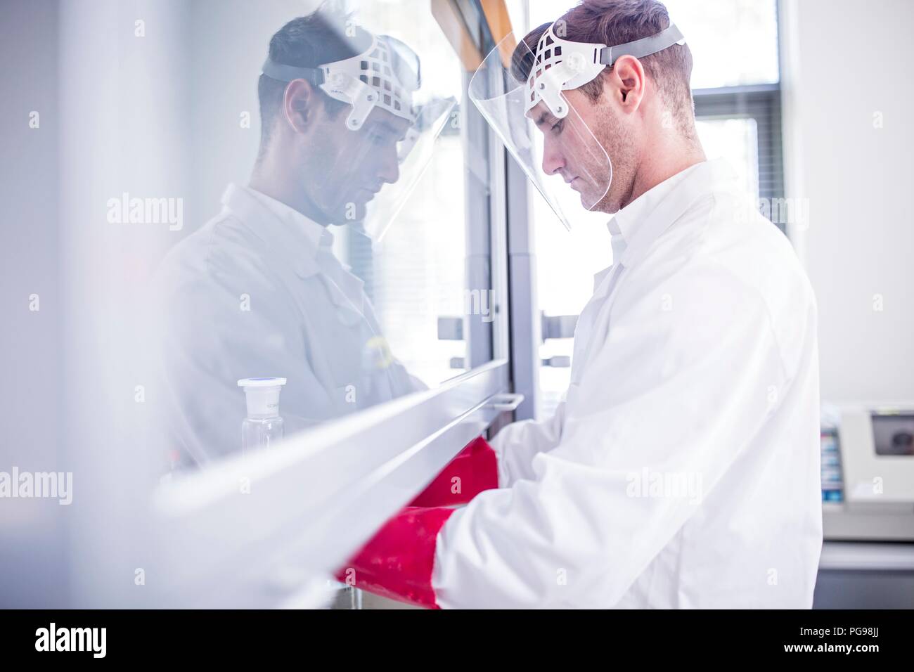 Lab technician using a laminar flow hood, thick gloves and a face