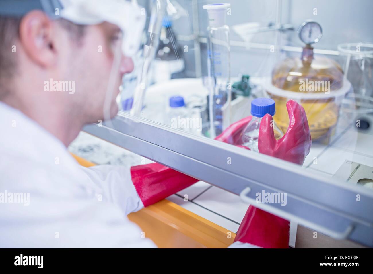 Lab technician using a laminar flow hood, thick gloves and a face