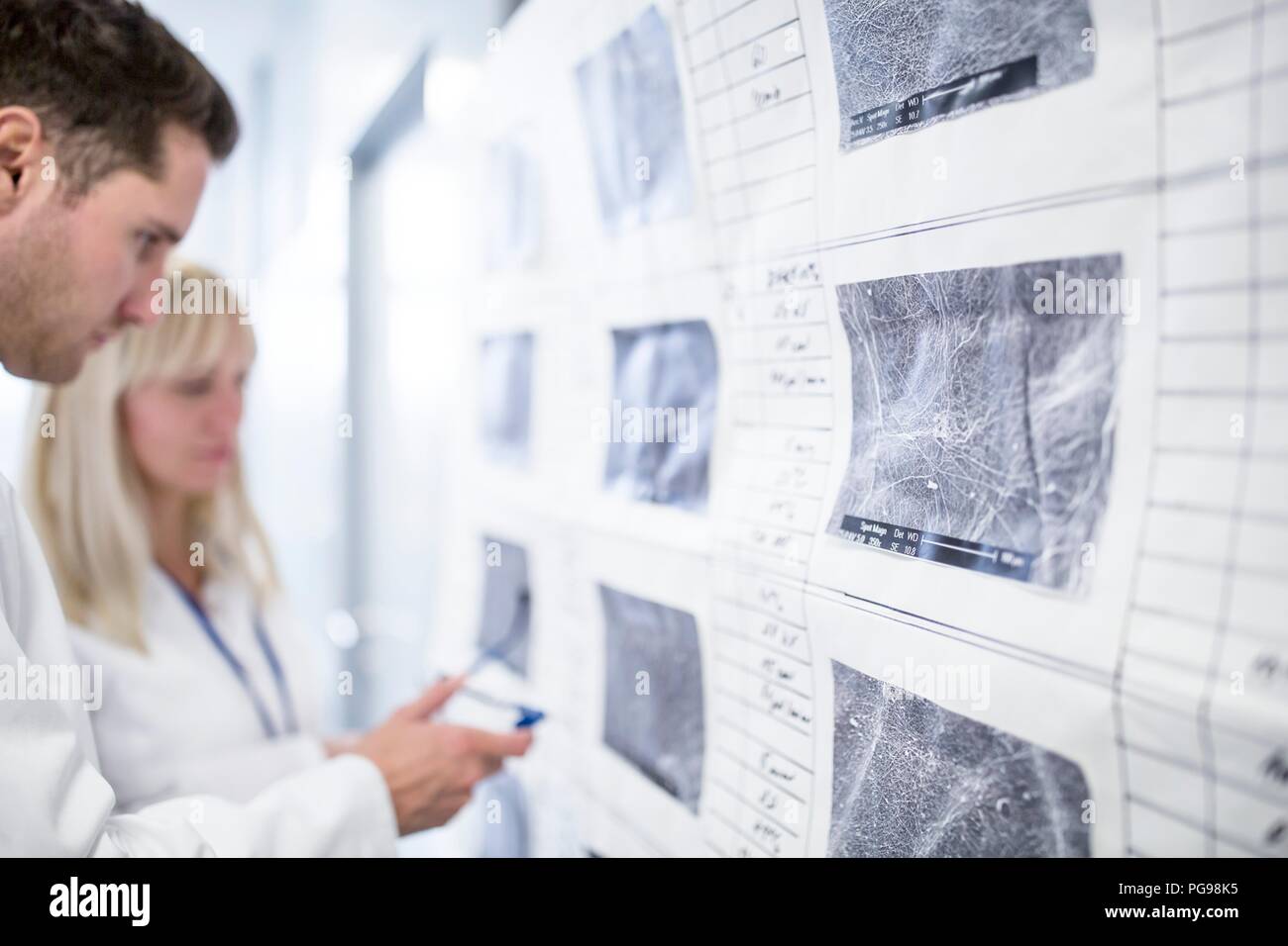 Scientists looking at scanning electron micrographs (SEMs) of different nanofibre structures. Stock Photo