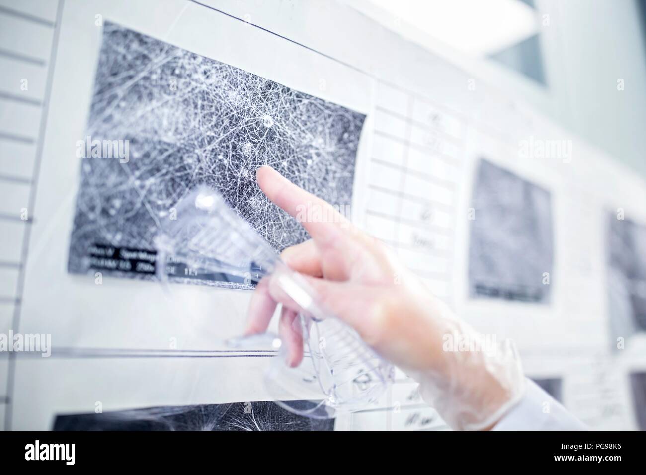 Scientist looking at scanning electron micrographs (SEMs) of different nanofibre structures. Stock Photo